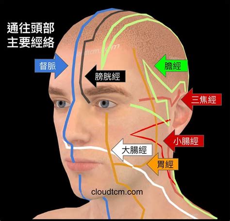 經絡刷功效|從經絡臟腑別通的對應關係，找出6組神效的穴道配。